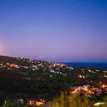 Lord Of Sainte-maxime *