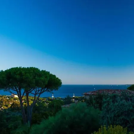 Lord Of Sainte-maxime * Les Issambres