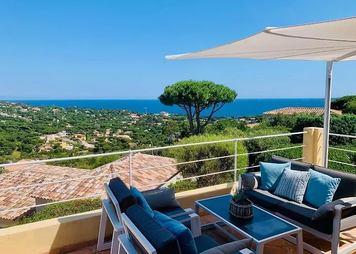 Lord Of Sainte-maxime *