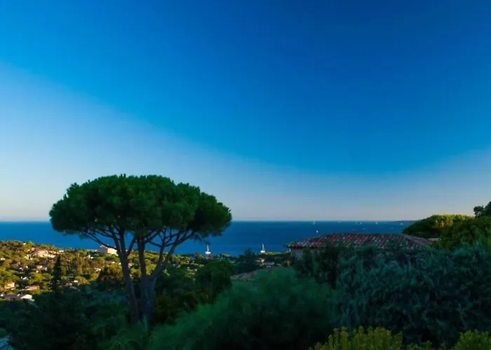 Lord Of Sainte-maxime * La Garonnette-Plage