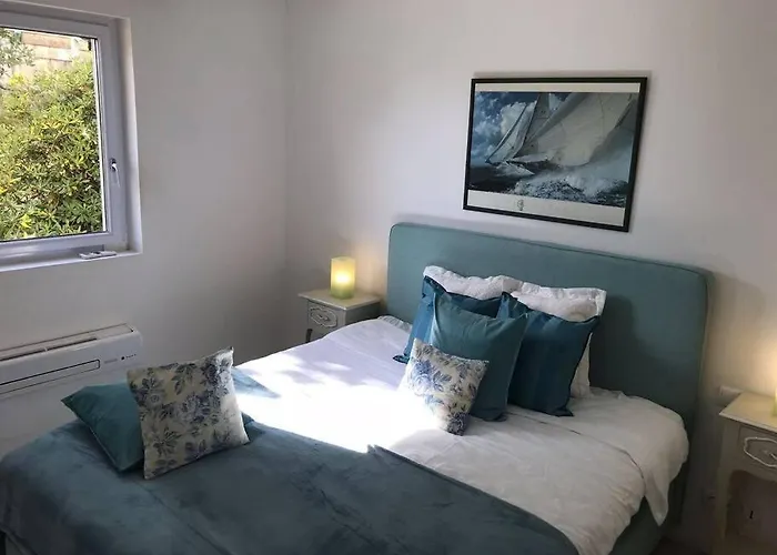 Lord Of Sainte-maxime *